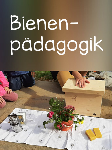 Bienenpädagogik bei der Kita KinderZeit