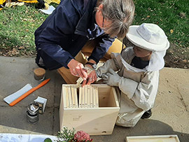 Bienenpädagogik bei der Kita KinderZeit