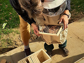 Bienenpädagogik bei der Kita KinderZeit